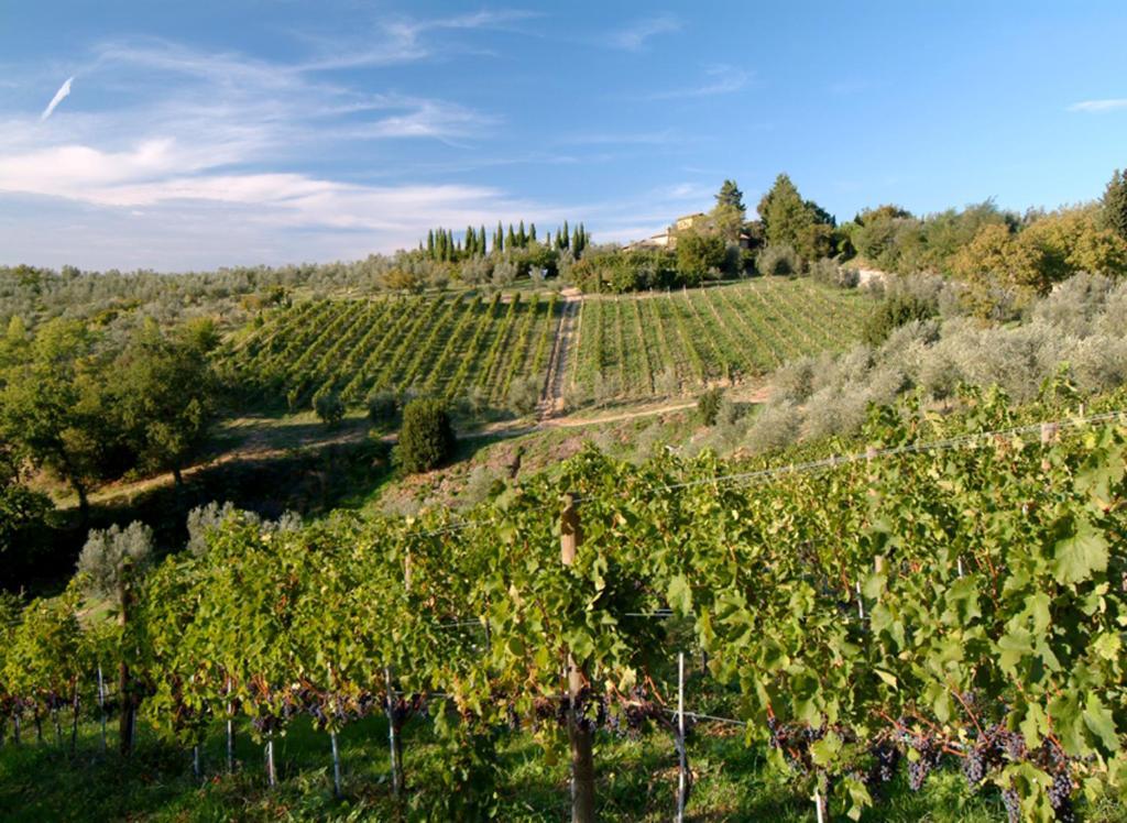 סן קאסיאנו ב-ואל די פזה Il Borghetto Country Inn מראה חיצוני תמונה
